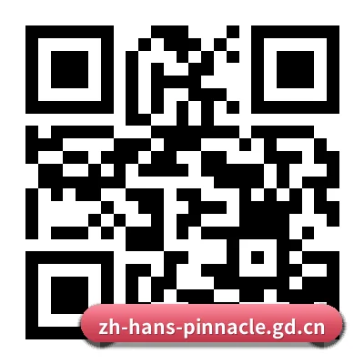 iOS 系统版 二维码（PINNACLE）